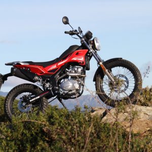 Rieju Tango 125 in stock now
